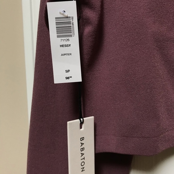Aritzia Babaton Hessy Sweater (S) - Picture 5 of 12